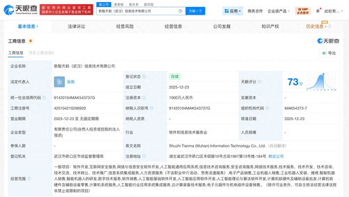 螞蟻數科布局華中，武漢新設信息技術公司聚焦網絡安全軟件開發
